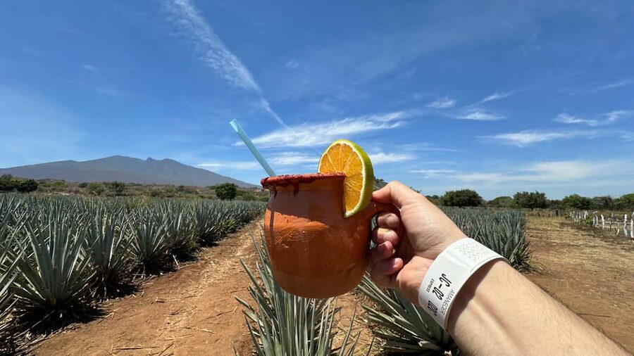 Guadalajara: Tequila Day Trip with Jose Cuervo Option - Tequila town and agave country in one focused day