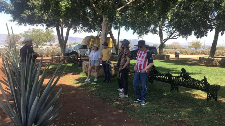 Guadalajara: Tequila Day Trip with Jose Cuervo Option - Who should book this tour (and who should skip it)