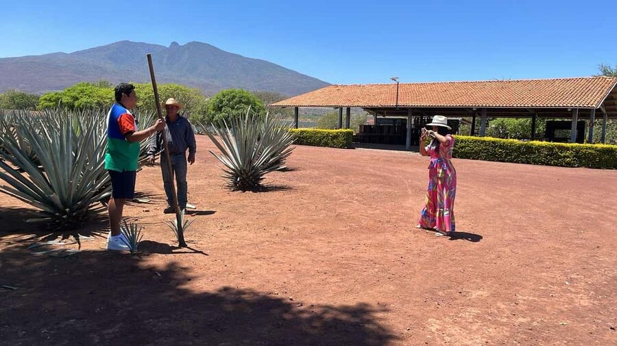 Guadalajara: Tequila Day Trip with Jose Cuervo Option - Inside a traditional distillery: from fermentation to modern distillation