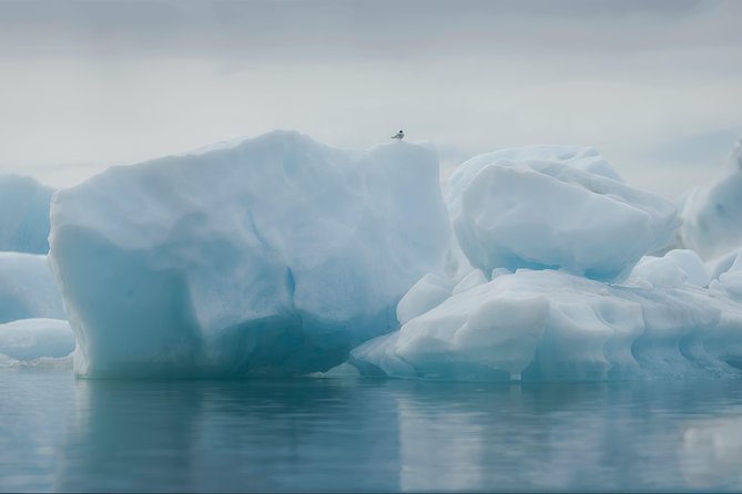 Guided Glacier Lagoon and Diamond Beach Day Trip from Reykjavik - Freysnes Lunch Stop: Recharge Without Losing the Day