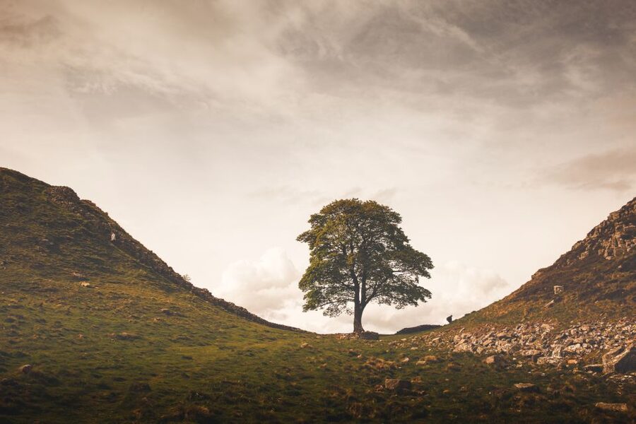 Hadrian's Wall & Roman Britain 1-Day Tour from Edinburgh - Steel Rigg: Walking Hadrian’s Wall Without the Rush