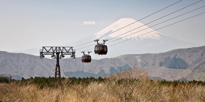 Hakone and Mt. Fuji Day Trip with Private Vehicle - Key things I’d watch before you book