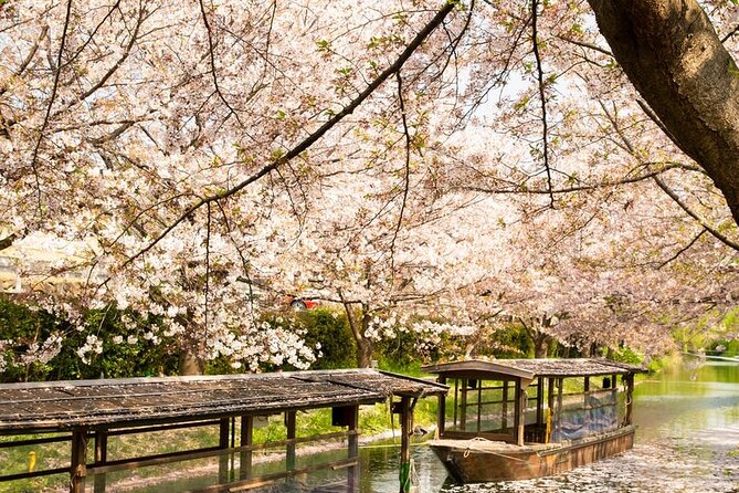Hakone and Mt. Fuji Day Trip with Private Vehicle - Gotemba Premium Outlets: shopping time, not a sightseeing detour