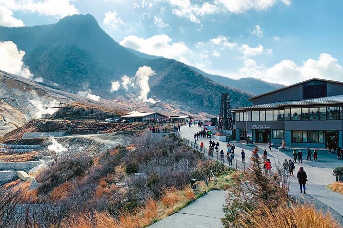 Hakone and Mt. Fuji Day Trip with Private Vehicle - Timing, comfort, and the driver factor