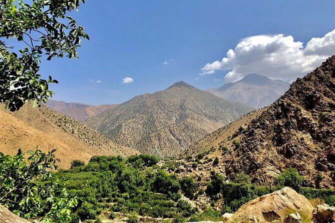 Half Day Tour From Marrakech to the Atlas Mountains & Ourika Valley - 8:30 Pickup and the Small-Group Ride Into the High Atlas