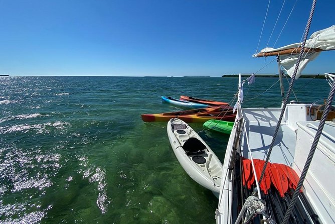 Half-Day Trip from Key West with Kayaking, Snorkeling & Sunset - Stop 1 in the Florida Keys National Marine Sanctuary: mangroves, seagrass, and wildlife