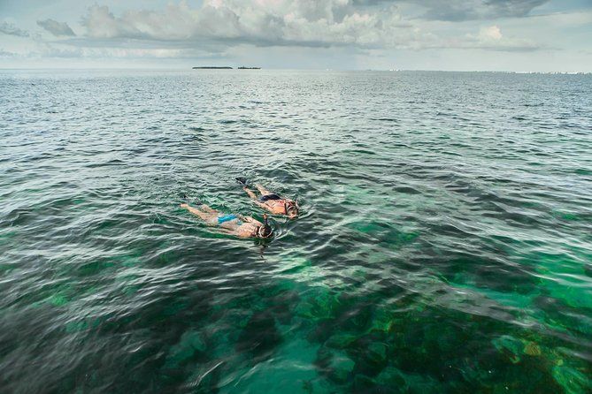 Half-Day Trip from Key West with Kayaking, Snorkeling & Sunset - Price value: $115 for gear, wetsuits, and guided time on water