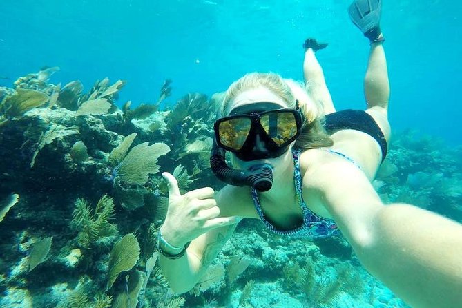 Half-Day Trip from Key West with Kayaking, Snorkeling & Sunset - Weather and wind: how the day can change without ruining it