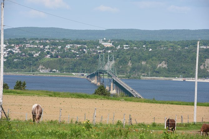 Half-Day Trip to Montmorency Falls and Ste-Anne-de-Beaupré from Quebec city - Coach ride comfort: what to expect inside the bus