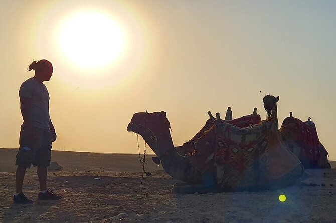 Half-day Trip to Pyramids and the Sphinx with Camel ride - Transportation comfort: air-conditioned vehicle, bottled water, and no shared stops