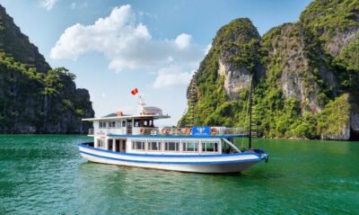 Hanoi: Halong Bay Day Trip with Titop Island, Cave, & Kayak - Sung Sot (Surprising) Cave Walk: How the Stalactites Impress on a Schedule