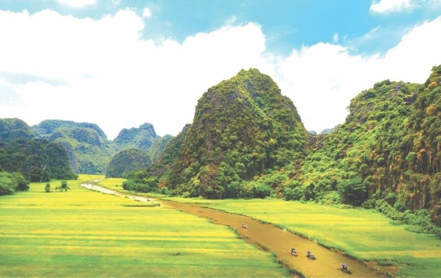 Hanoi: Ninh Binh, Hoa Lu, Tam Coc and Mua Cave Day Trip - Buffet lunch near Tam Coc: plan around goat meat and options
