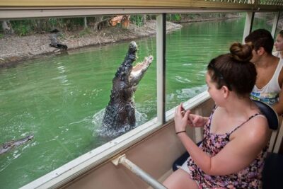 Hartley's Crocodile Adventures Day Trip from Cairns - Entering Hartley’s Crocodile Adventures: a zoo-style day, not a wild safari