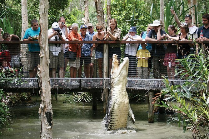 Hartley’s Crocodile Adventures Half-Day Tour from Cairns - Key things that make this half-day tour work