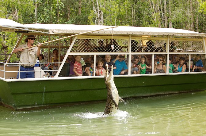 Hartley’s Crocodile Adventures Half-Day Tour from Cairns - Hartley’s Crocodile Adventures: a working eco-park, not just a zoo
