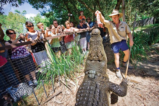 Hartley’s Crocodile Adventures Half-Day Tour from Cairns - Wandering the boardwalk zones: five areas, lots of variety