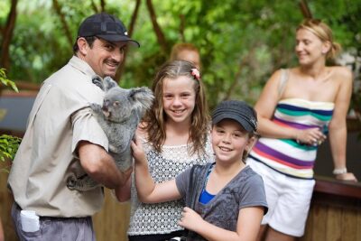 Hartley’s Crocodile Adventures Half-Day Tour from Cairns - The lagoon boat cruise: where crocodiles feel real