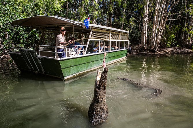 Hartley’s Crocodile Adventures Half-Day Tour from Cairns - Touring the crocodile farm: why it matters to the story