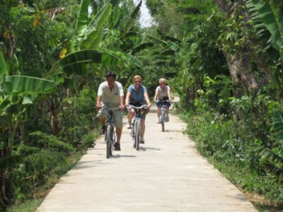 HCM: Mekong Delta, My Tho & Ben Tre Coconut Village - Morning Pickup and the Vinh Trang Pagoda Photo Stop