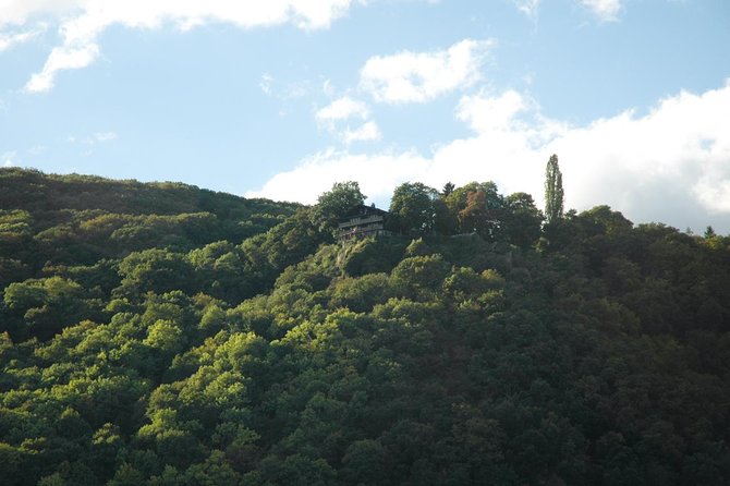 Heidelberg and Rhine Valley Day Trip With Wine Tasting and Dinner from Frankfurt - Dinner and wine tasting in Rüdesheim: included, but manage expectations
