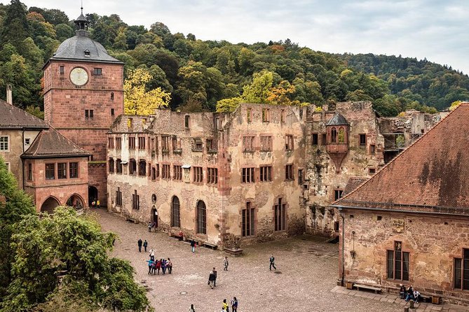 Heidelberg and Rhine Valley Day Trip With Wine Tasting and Dinner from Frankfurt - Old Town Heidelberg, Neckar River views, and Heidelberg University