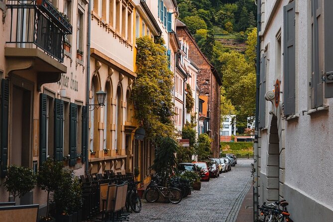 Heidelberg Castle and City Day Tour from Frankfurt - Guides, Hearing, and the Small Details That Affect Your Day