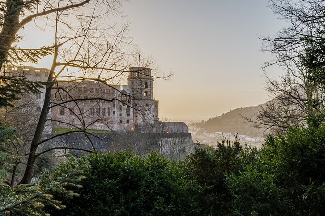 Heidelberg Castle and City Day Tour from Frankfurt - Meeting Point, Van Ride, and What You Learn En Route