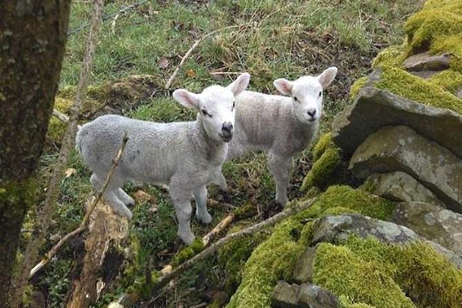 Herriot and Yorkshire Dales Day Trip from York - Grassington (Darrowby) gives you both views and plot