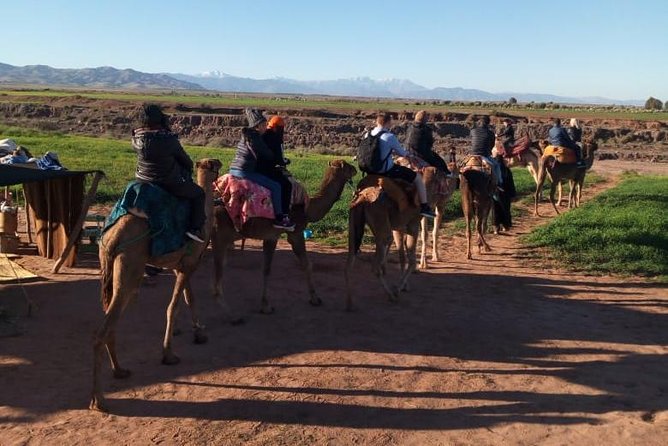 High Atlas Mountains Day Trip and Camel Trek - FAQ