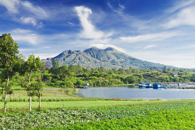 Highlights of Ubud & Mount Batur Volcano - Private Day Trip - Sacred Monkey Forest Sanctuary: close encounters, real etiquette