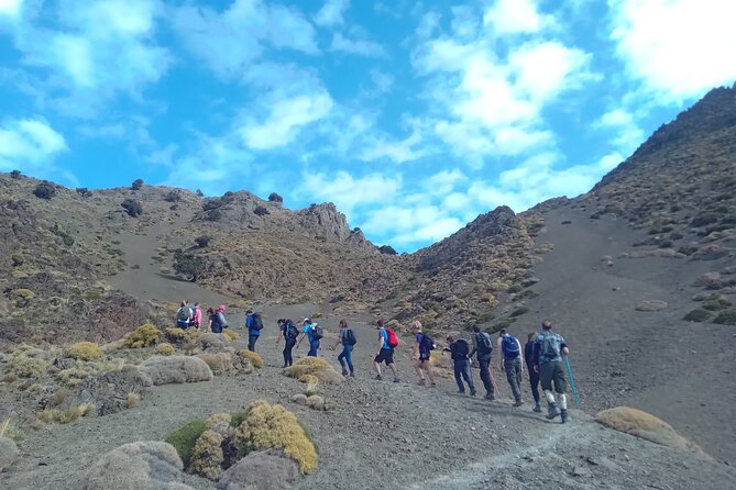 Hiking and summiting the Atlas Mountains day trip from Marrakech - Lunch at a Berber Home: Couscous, Tagine, and Rooftop Views