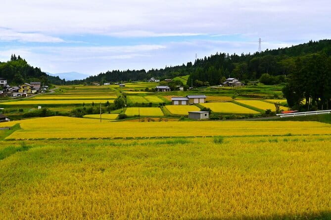 Hiking the Historic Nakasendo Trail [1 Day Tour from Nagoya] - A historic road, paced for real life