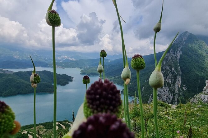 Hiking to Gamti, Bovilla Lake and Kruja Day Trip from Tirana - What to pack (so you don’t suffer quietly)