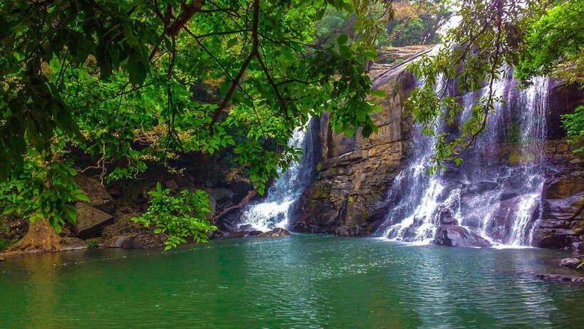 Hikkaduwa/Galle/Mirissa/Hiriketiya/Tangalle:Day Trip to ELLA - Why This Ella Day Trip Works So Well From the South Coast
