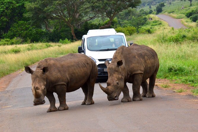 Hluhluwe Imfolozi Safari & St Lucia Boat Safari Day Tour from Durban - The Hluhluwe–iMfolozi Game Drive: Big Five Country in an Off-Road Reserve