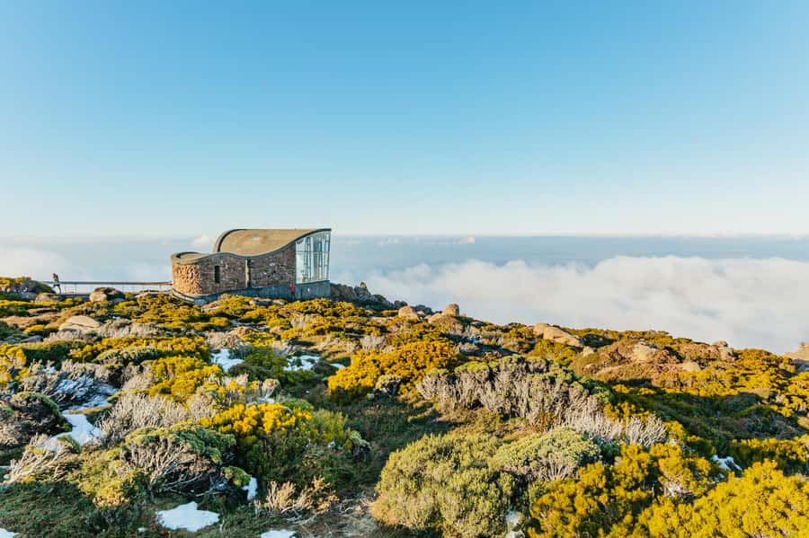 Hobart: Mt Wellington, Mt Field, Bonorong and Richmond Trip - Key things I’d circle before you go