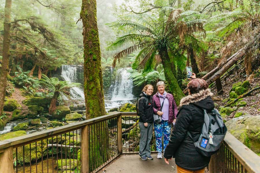 Hobart: Mt Wellington, Mt Field, Bonorong and Richmond Trip - Should You Book the Hobart: Mt Wellington, Mt Field, Bonorong and Richmond Trip?