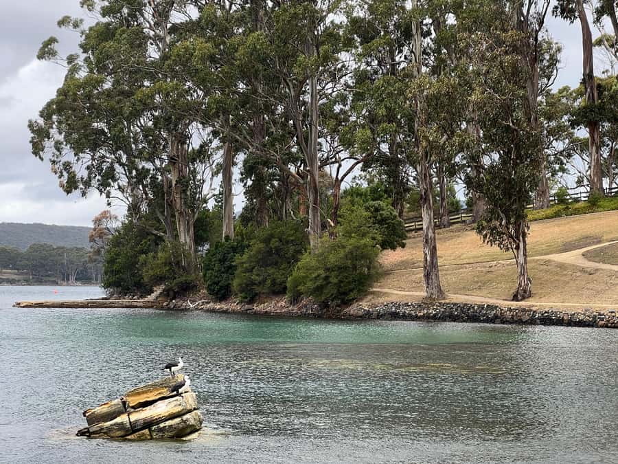 Hobart: Port Arthur & Tasman Park Full-Day Trip with Cruise - Carnarvon Bay cruise around the Isle of the Dead