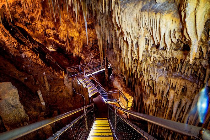 Hobart: Tahune Airwalk, Hastings Caves & Thermal Springs Pool - Tahune Airwalk treetop: walking on a 40m cantilever