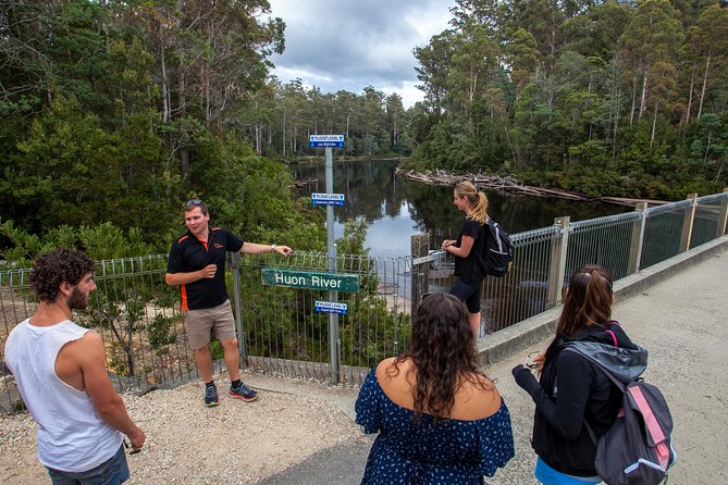 Hobart: Tahune Airwalk, Hastings Caves & Thermal Springs Pool - Thermal Springs Pool and Hot Springs Nature Track: testing the water temps