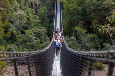 Hobart: Tahune Airwalk, Hastings Caves & Thermal Springs Pool - Hastings Caves tour 40m below: what the guide will focus on