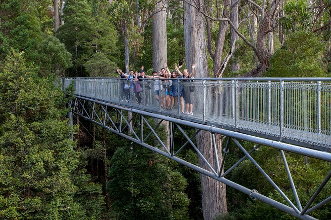 Hobart: Tahune Airwalk, Hastings Caves & Thermal Springs Pool - Full-day timing and value from Hobart: price, group size, and packing