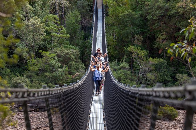 Hobart: Tahune Airwalk, Hastings Caves & Thermal Springs Pool - Hastings Caves tour 40m below: what the guide will focus on