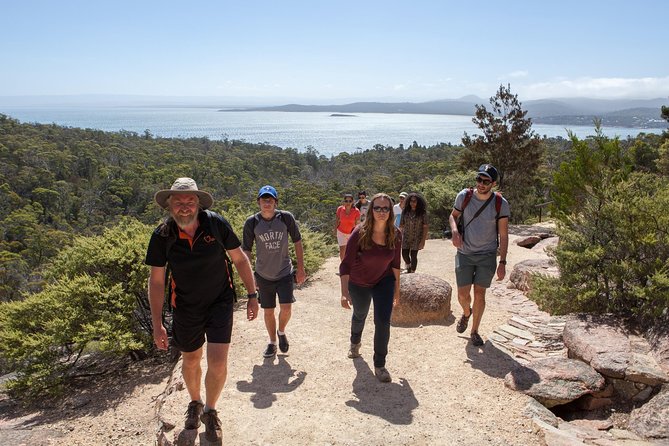 Hobart: Wineglass Bay & Freycinet National Park - Active Day Tour - Price and value: is $118.35 a fair deal?