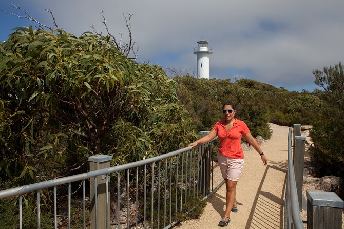 Hobart: Wineglass Bay & Freycinet National Park - Active Day Tour - The pace on the day: early start, clear walk segments, and minimal faff