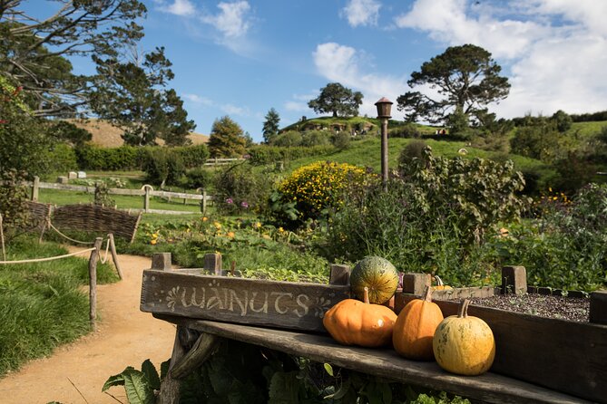 Hobbiton Day Tour from Rotorua with lunch at Hobbiton - Entering Hobbiton Movie Set: what you’ll see with your guide