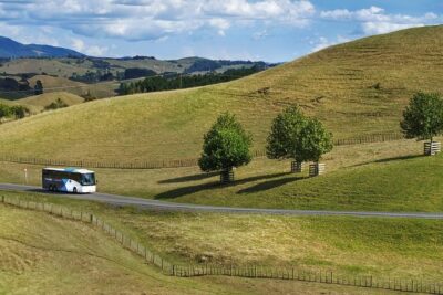 Hobbiton Day Tour from Rotorua with lunch at Hobbiton - The Matamata drive: stories on the way to the Shire