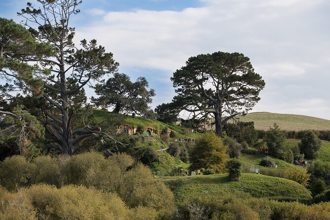 Hobbiton Day Tour from Rotorua with lunch at Hobbiton - Photo strategy and souvenir timing (without losing the vibe)