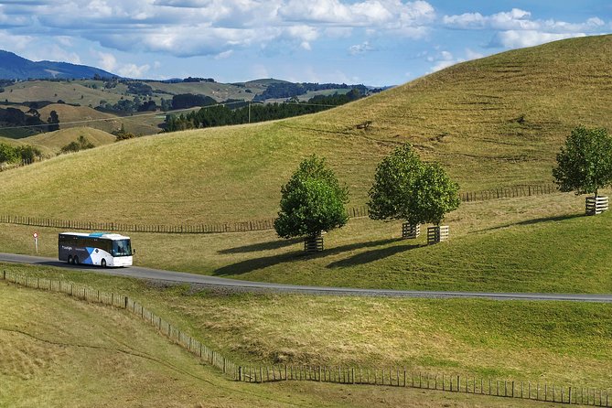 Hobbiton Day Tour from Rotorua with lunch at Hobbiton - The Matamata drive: stories on the way to the Shire