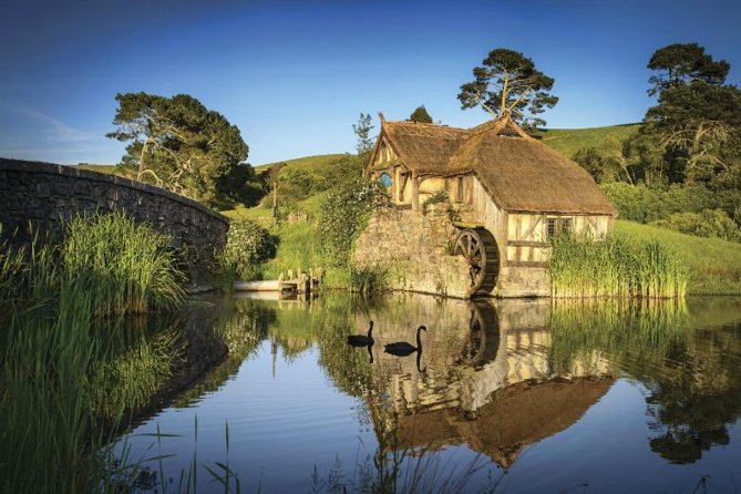 Hobbiton & Waitomo Caves Guided Day Trip from Auckland incl lunch - Price and what you’re actually paying for ($229.61)